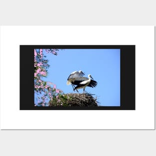 Storch / Swiss Artwork Photography Posters and Art